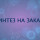 ЗАКАЗНОЙ СИНТЕЗ